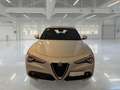 Alfa Romeo Stelvio 2.2 TD 160 CV Super Business AT8 RWD - thumbnail 2