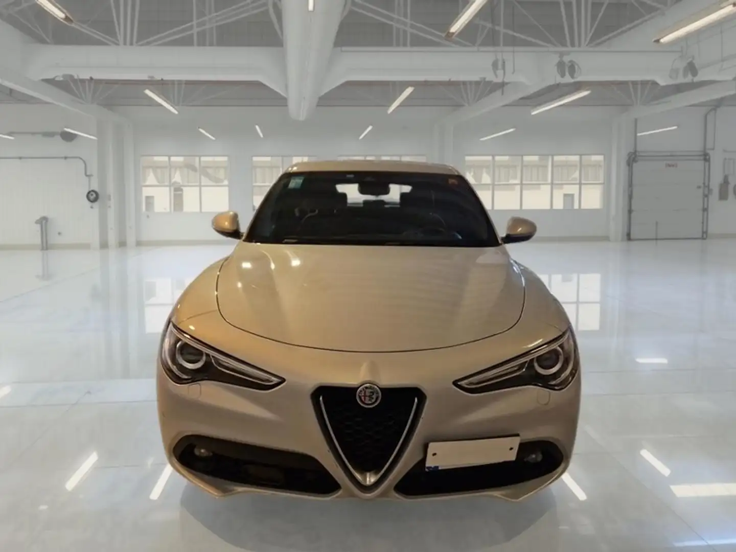 Alfa Romeo Stelvio 2.2 TD 160 CV Super Business AT8 RWD - 2