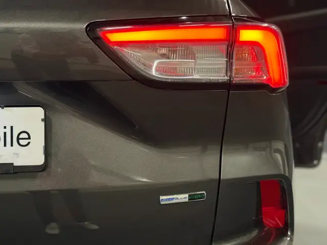 Ford Kuga view 7