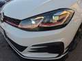 Volkswagen Golf GTI Golf GTI Performance 2.0 245 CV TSI DSG 5p. BMT Bianco - thumbnail 5