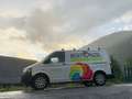 Volkswagen T5 Kastenwagen - thumbnail 3