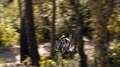 Benelli TRK 702 X abs E5 Grigio - thumbnail 13