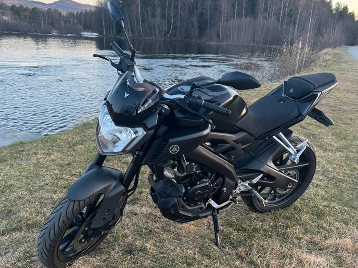 Yamaha MT-125 Negru - 2