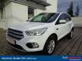 Ford Kuga 1,5 EcoBoost Titanium Weiß - thumbnail 1