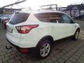 Ford Kuga 1,5 EcoBoost Titanium Weiß - thumbnail 3