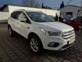 Ford Kuga 1,5 EcoBoost Titanium Weiß - thumbnail 7