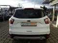 Ford Kuga 1,5 EcoBoost Titanium Weiß - thumbnail 4