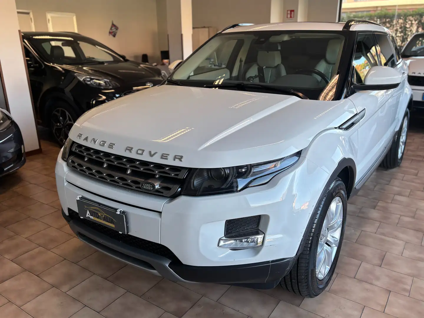Land Rover Range Rover Evoque 5p 2.2 td4 PureTech*TAGLIANDI CERTIFICATI * Wit - 1