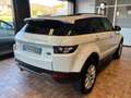 Land Rover Range Rover Evoque 5p 2.2 td4 PureTech*TAGLIANDI CERTIFICATI * Wit - thumbnail 4