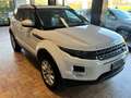 Land Rover Range Rover Evoque 5p 2.2 td4 PureTech*TAGLIANDI CERTIFICATI * Wit - thumbnail 3