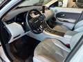 Land Rover Range Rover Evoque 5p 2.2 td4 PureTech*TAGLIANDI CERTIFICATI * Wit - thumbnail 7