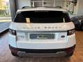 Land Rover Range Rover Evoque 5p 2.2 td4 PureTech*TAGLIANDI CERTIFICATI * Wit - thumbnail 5