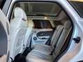 Land Rover Range Rover Evoque 5p 2.2 td4 PureTech*TAGLIANDI CERTIFICATI * Wit - thumbnail 9