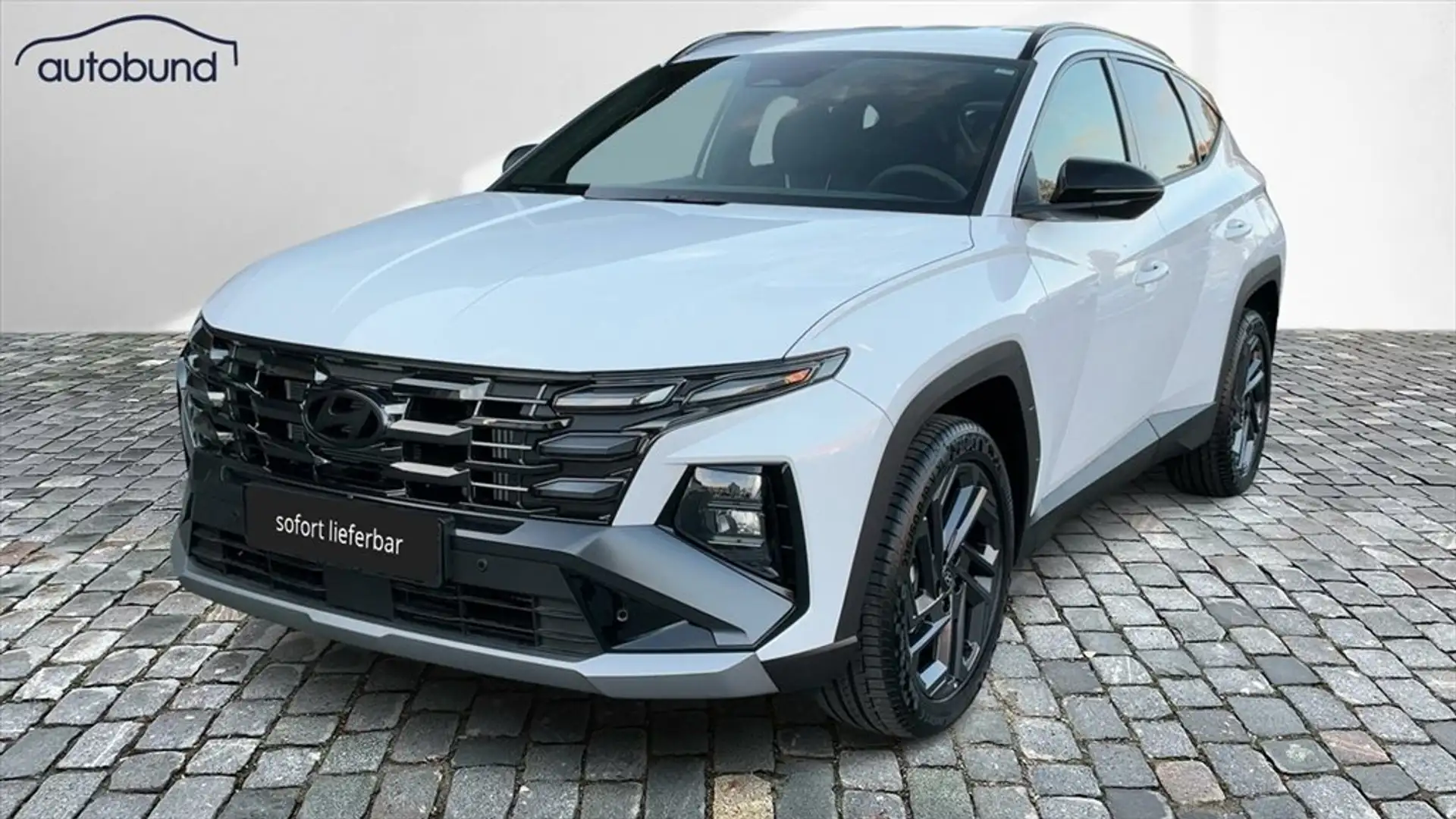 Hyundai TUCSON IV 1,6 T-GDi (MHEV) Anniversary Alarm LED NAV Weiß - 1