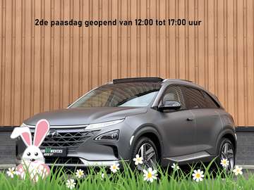 FCEV Plus Pack | Matt Grijs | Panoramadak | 360° C