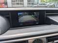 Lexus IS 300 300h F Sport Noir - thumbnail 12
