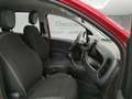 Fiat Panda 1.0 hybrid Cross * VARIE COLORAZIONI * Blu/Azzurro - thumbnail 11