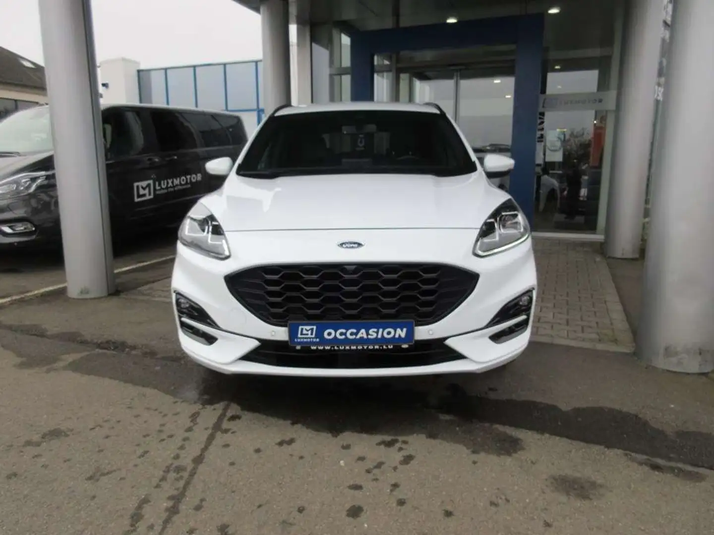 Ford Kuga ST-Line X 2.5i FHEV 190ch/140kW - HF45 Auto AWD Blanc - 2