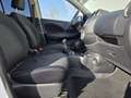 Nissan Micra 1.2 5-trg. TEMP el. FH ZV Bluetooth EURO5 Weiß - thumbnail 13