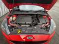 Ford 1.5 EcoBoost ST Line Business 183 pk Rood - thumbnail 6