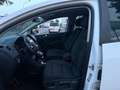 Volkswagen Golf Plus 1.6 TDI DSG BMT Team Weiß - thumbnail 12