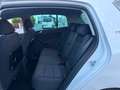 Volkswagen Golf Plus 1.6 TDI DSG BMT Team Weiß - thumbnail 18