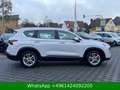 Hyundai SANTA FE AHK|ACC|KAMERA|LED|AUTOM Blanc - thumbnail 9