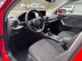 Audi Q2 2.0 TDI *PDC, Rückfahkamera* Rot - thumbnail 13
