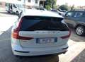 Volvo V60 V60 2.0 d4 Business plus geartronic 190 cv Bianco - thumbnail 2
