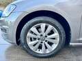 Volkswagen Golf Variant Variant 1.6 tdi 105cv Comfortline * PERFETTA Grigio - thumbnail 15