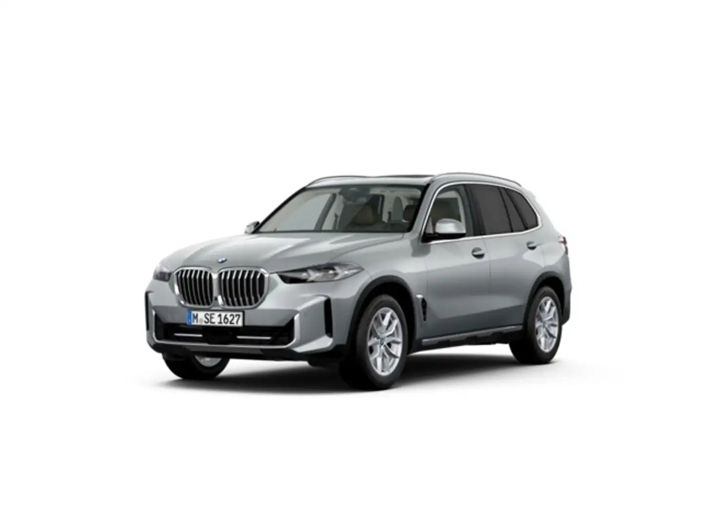 BMW X5 xDrive 30dA xLine Gris - 2