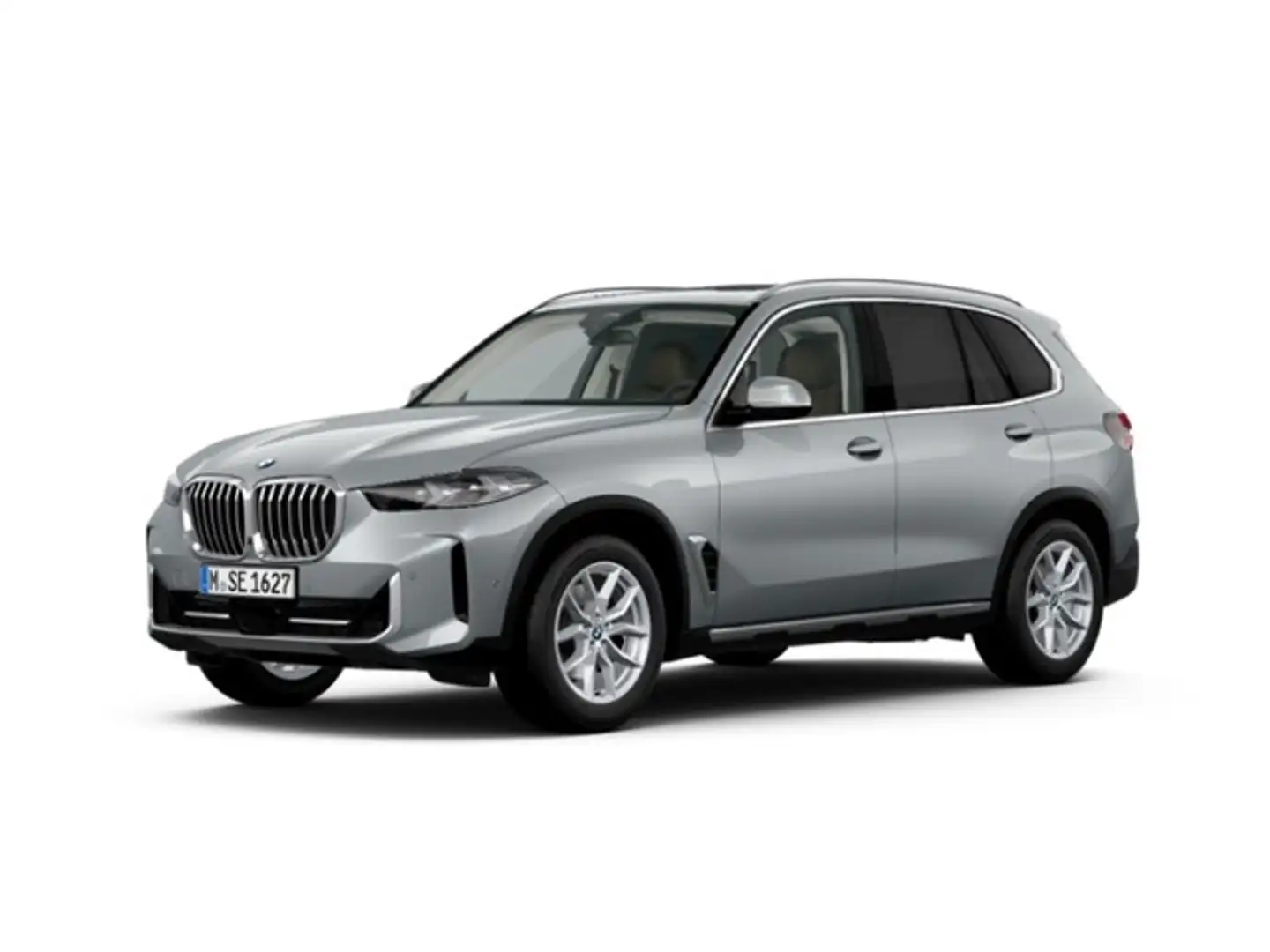 BMW X5 xDrive 30dA xLine Gris - 1