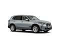 BMW X5 xDrive 30dA xLine Gris - thumbnail 3