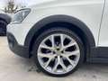 Volkswagen Polo Cross CROSS 5P 1.4 TDI COMFORTLINE 90 CV DSG 17" UNIPRO Fehér - thumbnail 4