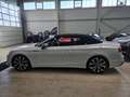 Audi Cabriolet S5 Cabriolet quattro/Sitzlüftung/MatrixLED/*340€ Blanco - thumbnail 15
