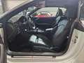 Audi Cabriolet S5 Cabriolet quattro/Sitzlüftung/MatrixLED/*340€ Blanco - thumbnail 17