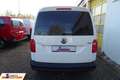Volkswagen Caddy Maxi 4Motion Kasten Navi/Standhzg/PDC/AHK Weiß - thumbnail 6