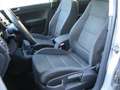 Volkswagen Golf Plus 1.9 TDI Comfortline Grigio - thumbnail 8
