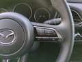 Mazda CX-30 Selection Fahrschulwagen Grau - thumbnail 19