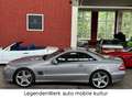 Mercedes-Benz SL 500 SL500 5.5L  AMG R230 Exclusiv Sonderf. Deutschl. Argento - thumbnail 5