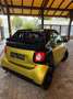 smart forTwo Fortwo 0.9 t Prime cabrio 90cv NAVI-CAMERA-LED Oro - thumbnail 3