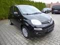 Fiat Panda Easy Klima/Kamera/Winterräder/HU neu Schwarz - thumbnail 23