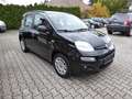 Fiat Panda Easy Klima/Kamera/Winterräder/HU neu Schwarz - thumbnail 2