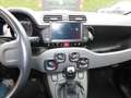 Fiat Panda Easy Klima/Kamera/Winterräder/HU neu Schwarz - thumbnail 14
