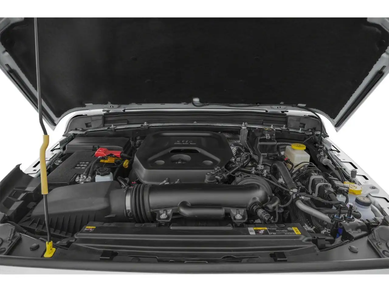 Jeep Wrangler fotografie Jeep Wrangler