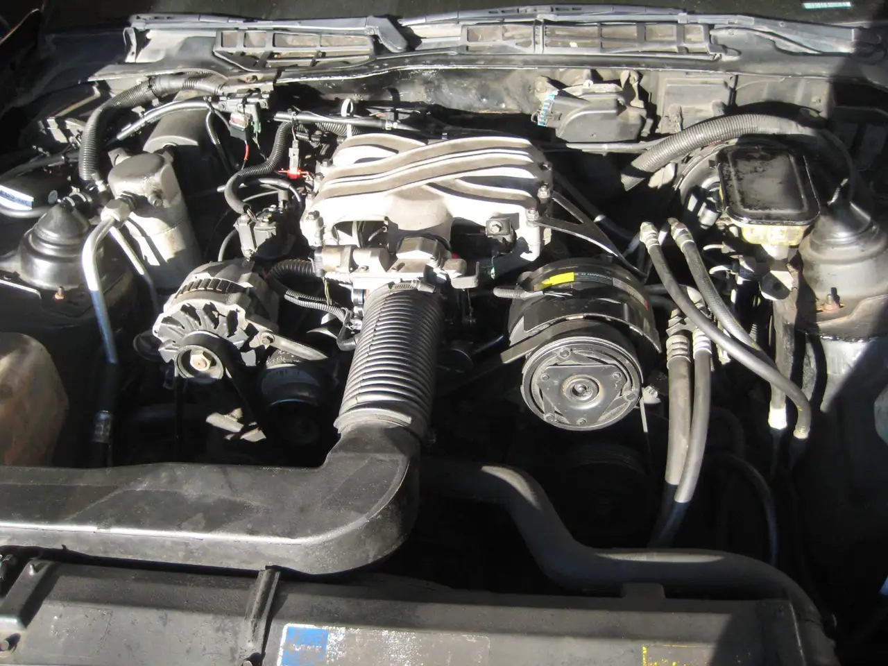 Pontiac Firebird 3,2l ATM H-Kennzeichen, foto 7