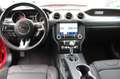 Ford Mustang Shelby GT Kamera TÜV NEU Rouge - thumbnail 13