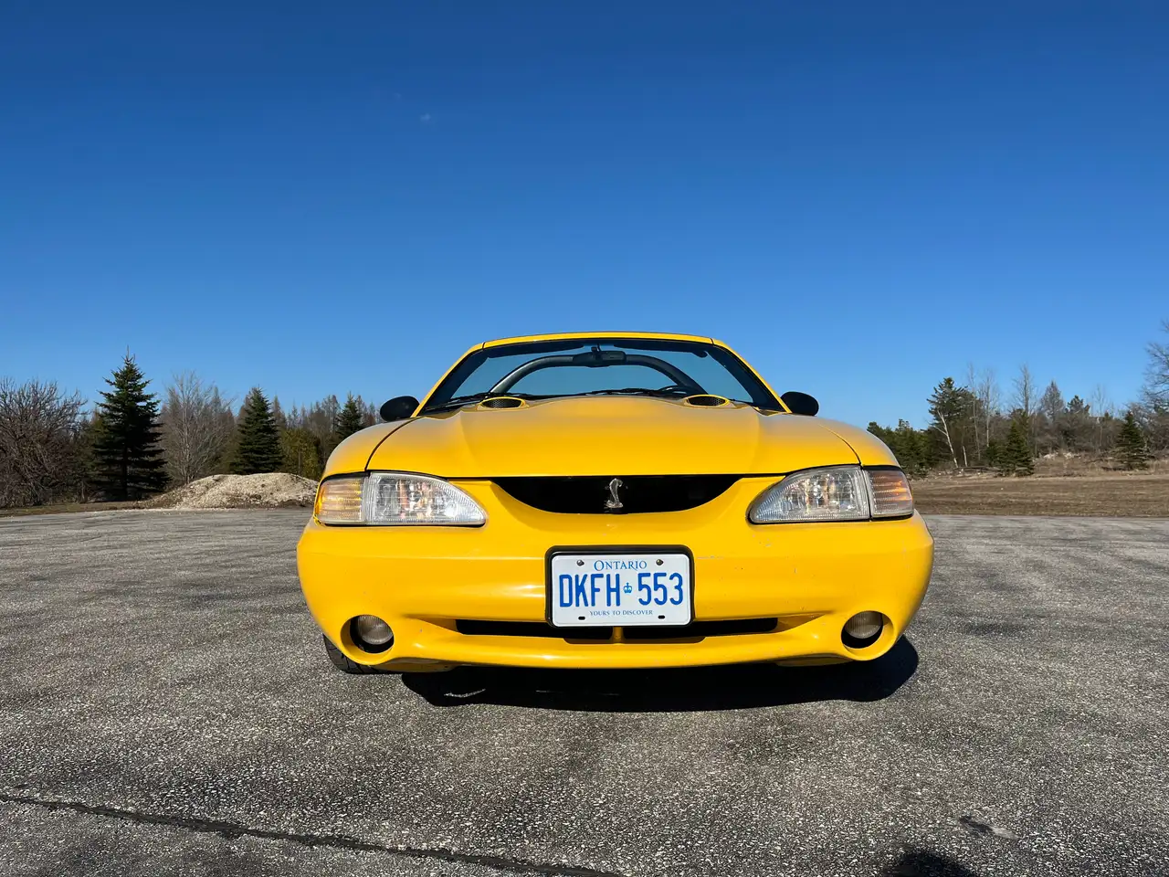 Ford Mustang снимка Ford Mustang