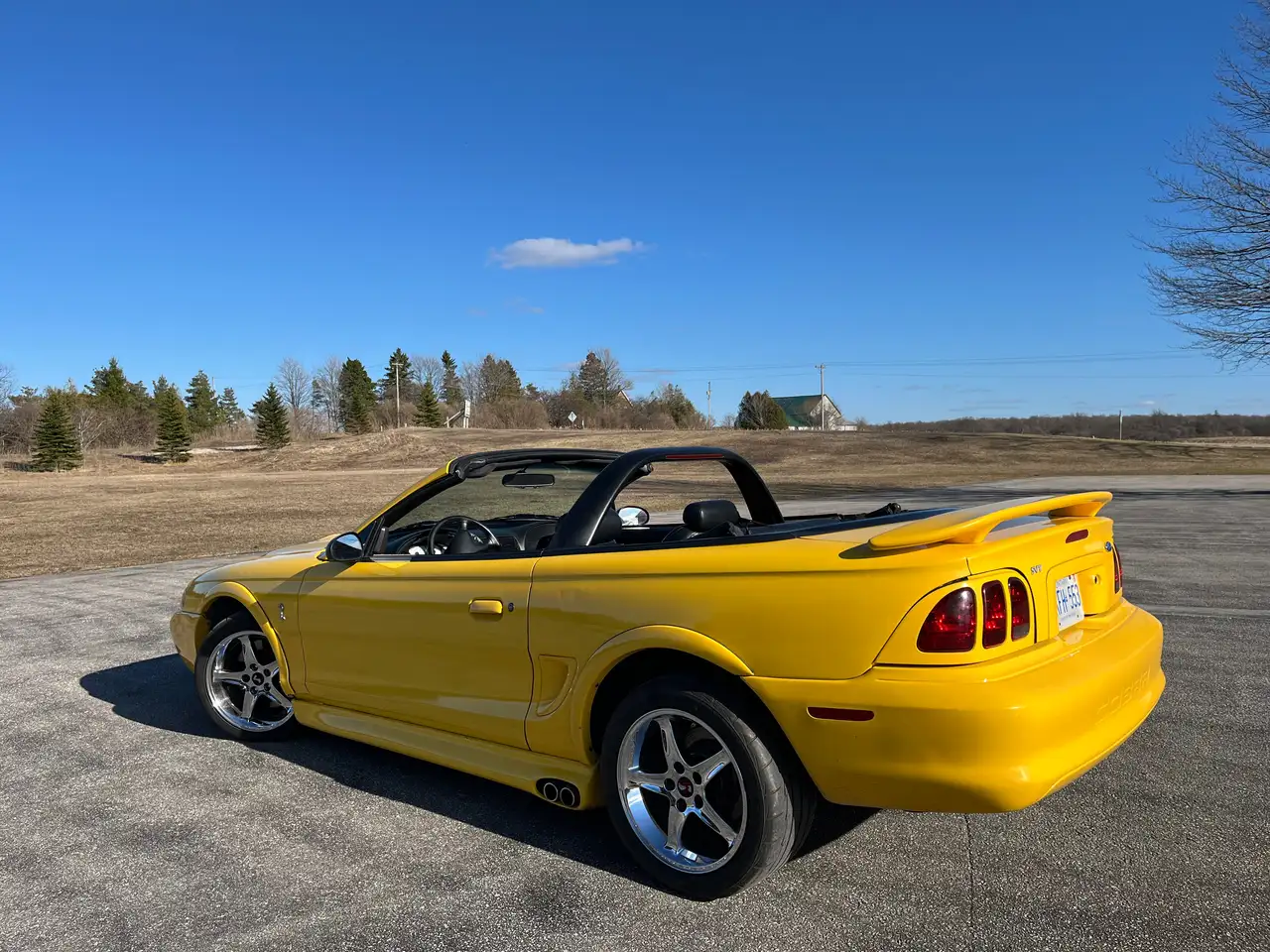Ford Mustang снимка Ford Mustang