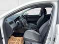 SEAT Ibiza 1,0 Style  MFL/GRA/TOP!!! Weiß - thumbnail 10